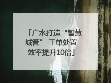 广水打造“智慧城管” 工单处置效率提升10倍