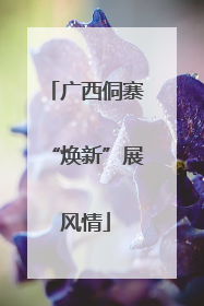 广西侗寨“焕新”展风情