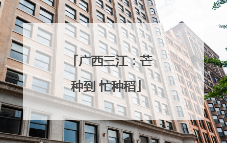 广西三江：芒种到 忙种稻