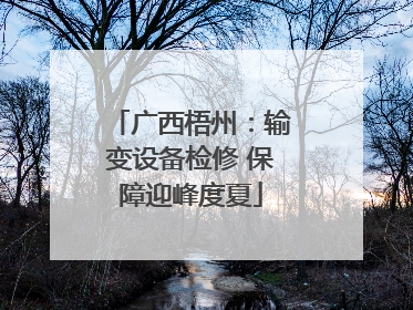 广西梧州：输变设备检修 保障迎峰度夏