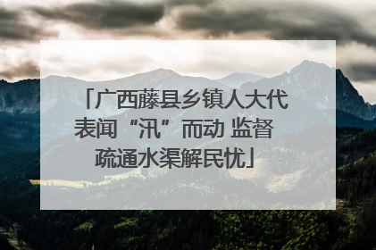 广西藤县乡镇人大代表闻“汛”而动 监督疏通水渠解民忧
