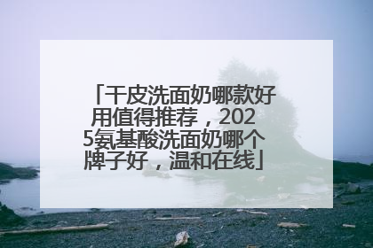 干皮洗面奶哪款好用值得推荐，2025氨基酸洗面奶哪个牌子好，温和在线