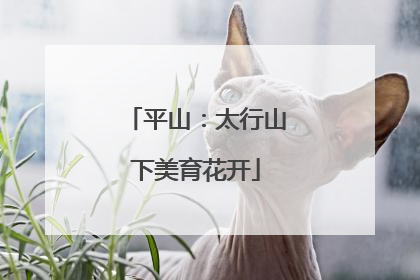 平山：太行山下美育花开