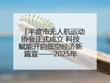 平度市无人机运动协会正式成立 科技赋能开启低空经济新篇章——2025年首届会员大会暨无人机应用发展论坛成功举办