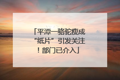 平潭一骆驼瘦成“纸片”引发关注！部门已介入