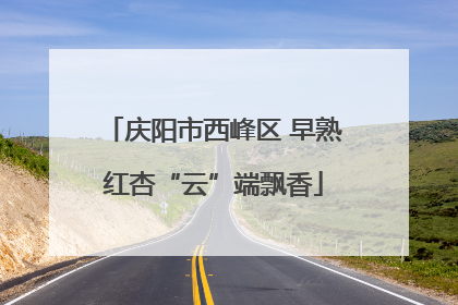 庆阳市西峰区 早熟红杏“云”端飘香
