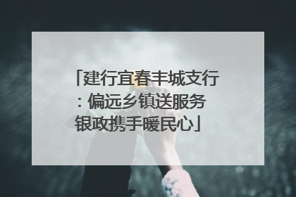 建行宜春丰城支行：偏远乡镇送服务 银政携手暖民心