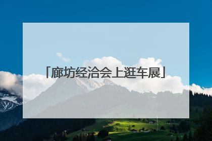 廊坊经洽会上逛车展