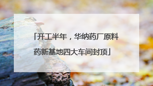 开工半年,华纳药厂原料药新基地四大车间封顶