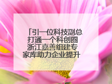 引一位科技副总 打通一个科创圈 浙江嘉善组建专家库助力企业提升自主创新能力
