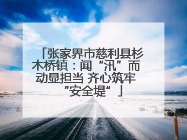 张家界市慈利县杉木桥镇：闻“汛”而动显担当 齐心筑牢“安全堤”