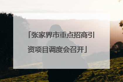 张家界市重点招商引资项目调度会召开