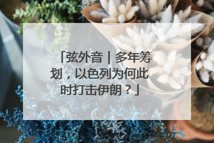 弦外音｜多年筹划，以色列为何此时打击伊朗？