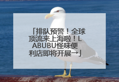 排队预警！全球顶流来上海啦！LABUBU怪味便利店即将开展→