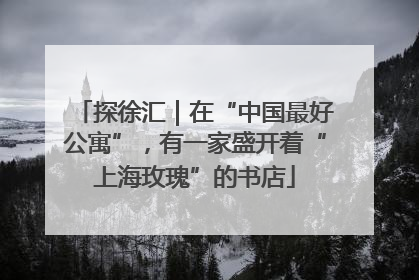 探徐汇｜在“中国最好公寓”，有一家盛开着“上海玫瑰”的书店