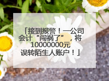 接到报警！一公司会计“闯祸了”，将10000000元误转陌生人账户！