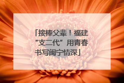 接棒父辈！福建“支二代”用青春书写闽宁情深