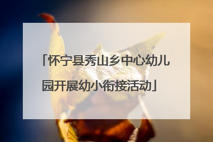 怀宁县秀山乡中心幼儿园开展幼小衔接活动