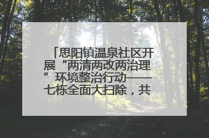 思阳镇温泉社区开展“两清两改两治理”环境整治行动——七栋全面大扫除，共建洁净家园