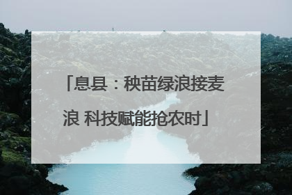 息县：秧苗绿浪接麦浪 科技赋能抢农时