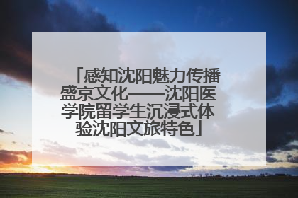 感知沈阳魅力传播盛京文化——沈阳医学院留学生沉浸式体验沈阳文旅特色
