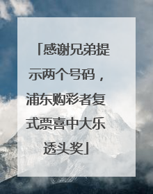感谢兄弟提示两个号码，浦东购彩者复式票喜中大乐透头奖