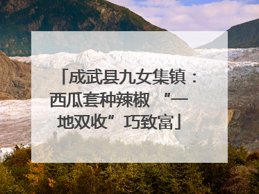 成武县九女集镇：西瓜套种辣椒 “一地双收”巧致富