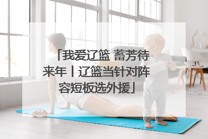 我爱辽篮 蓄芳待来年丨辽篮当针对阵容短板选外援