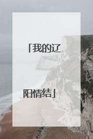 我的辽阳情结