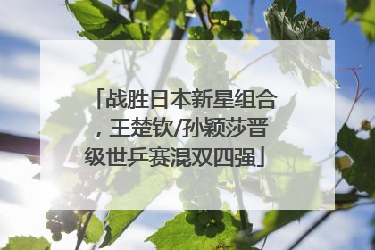 战胜日本新星组合，王楚钦/孙颖莎晋级世乒赛混双四强