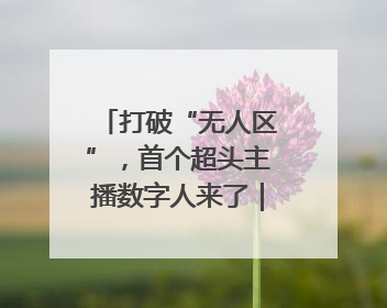 打破“无人区”，首个超头主播数字人来了｜热财经