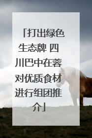 打出绿色生态牌 四川巴中在蓉对优质食材进行组团推介