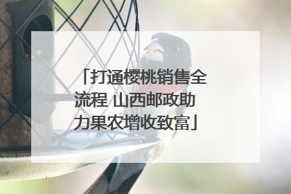 打通樱桃销售全流程 山西邮政助力果农增收致富