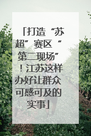 打造“苏超”赛区“第二现场”！江苏这样办好让群众可感可及的实事