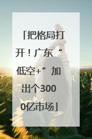 把格局打开！广东“低空+”加出个3000亿市场