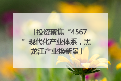 投资聚焦“4567”现代化产业体系，黑龙江产业换新景