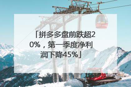拼多多盘前跌超20%，第一季度净利润下降45%