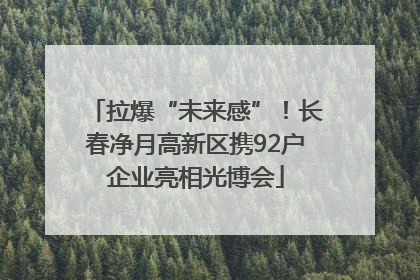 拉爆“未来感”！长春净月高新区携92户企业亮相光博会