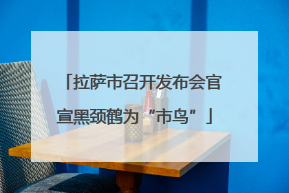 拉萨市召开发布会官宣黑颈鹤为“市鸟”