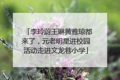 李玲蔚王琳黄雅琼都来了，元老明星进校园活动走进文龙巷小学