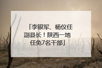 李银军、杨仪任副县长！陕西一地任免7名干部