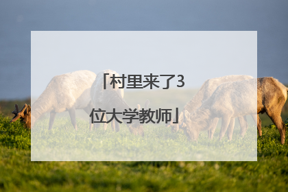 村里来了3位大学教师