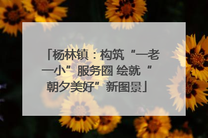 杨林镇：构筑“一老一小”服务圈 绘就“朝夕美好”新图景