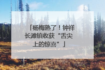 杨梅熟了！钟祥长滩镇收获“舌尖上的惊喜”