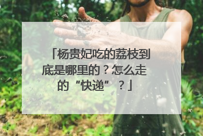 杨贵妃吃的荔枝到底是哪里的？怎么走的“快递”？