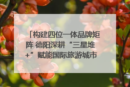 构建四位一体品牌矩阵 德阳深耕“三星堆+”赋能国际旅游城市建设｜文旅局长说