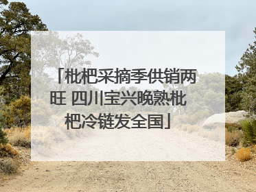 枇杷采摘季供销两旺 四川宝兴晚熟枇杷冷链发全国