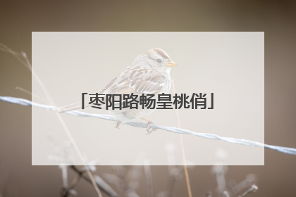 枣阳路畅皇桃俏
