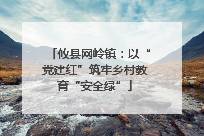 攸县网岭镇：以“党建红”筑牢乡村教育“安全绿”