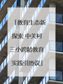 教育生态新探索 中关村三小跨龄教育实践引热议